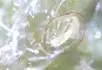 kdce na vestce2