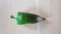 hniloba plodu