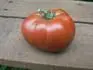Black Krim