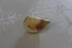 esnek