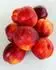 Stark Red Gold