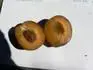 Haroma