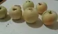 jablko .5