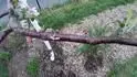 Foto4