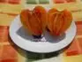 Orange Russian 117