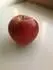 Odrda 1
