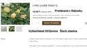 LYRAUEB5060/1