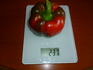 21.11. Nejsp Big Red