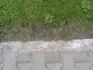 Trvnk