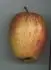 eht soudkovit /Prinzenapfel/