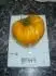 Orange Strawberry