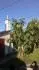 slunenice 