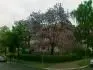 ped budovou 3