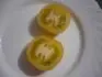 Albertovsk lut