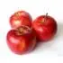 Braeburn