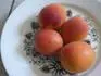 Albicocco Orange Rubis dovoz z Itlie