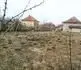 Krtince