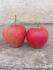 Rubinette Rosso